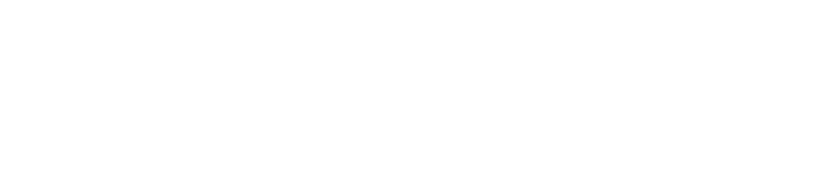 Envaico